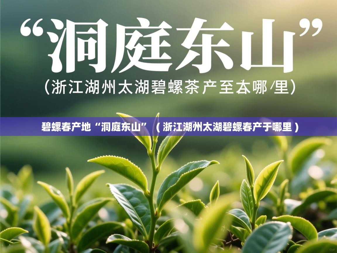  碧螺春产地“洞庭东山”  ( 浙江湖州太湖碧螺春产于哪里 )