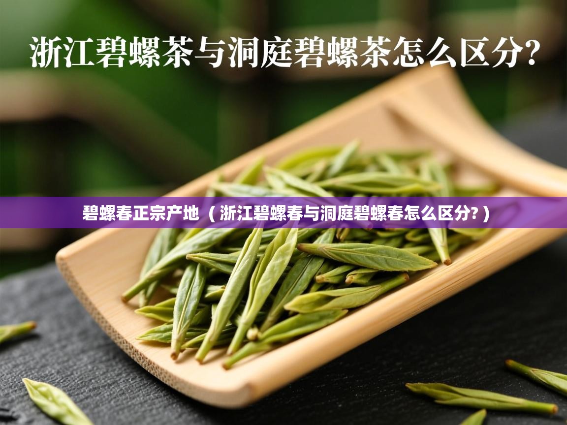  碧螺春正宗产地  ( 浙江碧螺春与洞庭碧螺春怎么区分? )