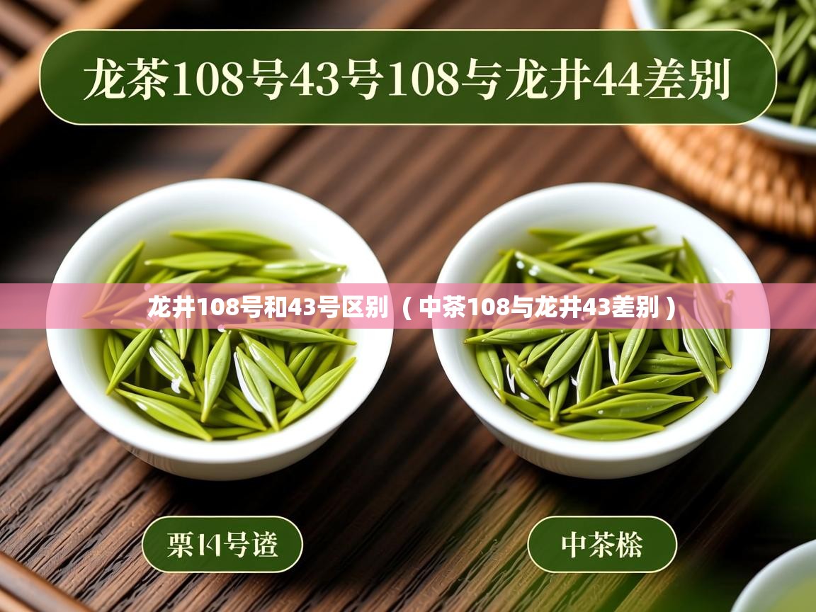  龙井108号和43号区别  ( 中茶108与龙井43差别 )