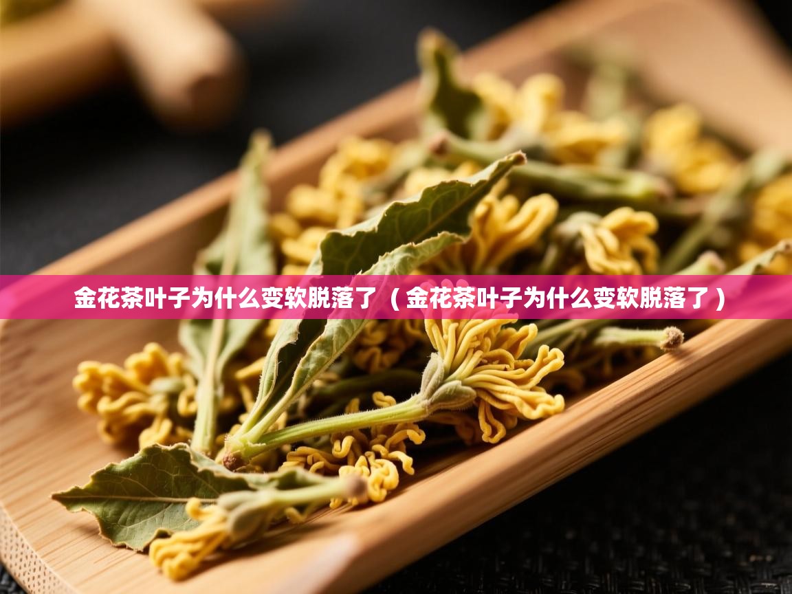  金花茶叶子为什么变软脱落了  ( 金花茶叶子为什么变软脱落了 )