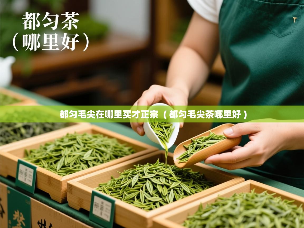  都匀毛尖在哪里买才正宗  ( 都匀毛尖茶哪里好 )