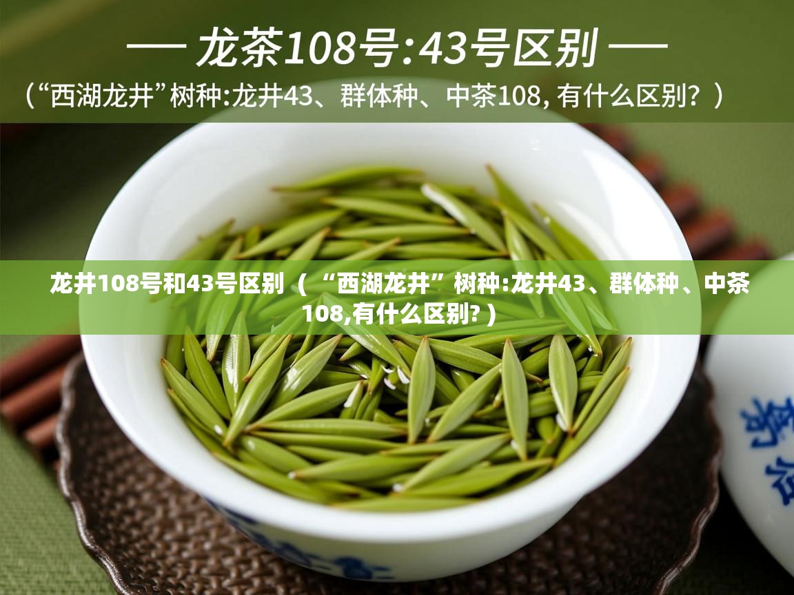  龙井108号和43号区别  ( “西湖龙井”树种:龙井43、群体种、中茶108,有什么区别? )