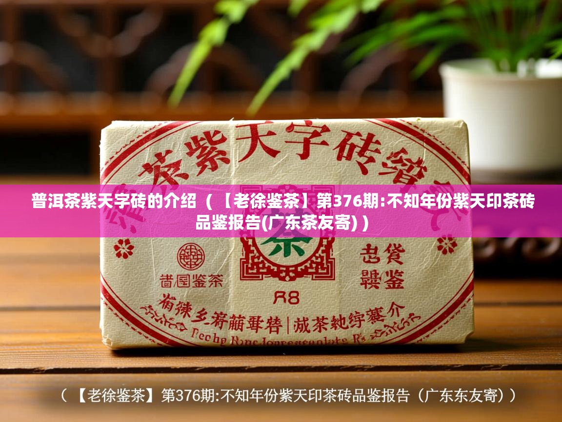  普洱茶紫天字砖的介绍  ( 【老徐鉴茶】第376期:不知年份紫天印茶砖品鉴报告(广东茶友寄) )