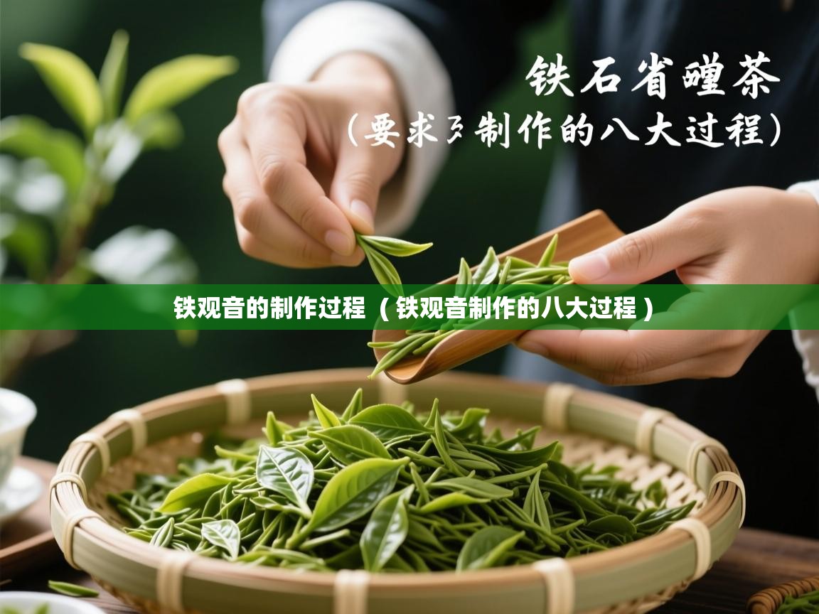  铁观音的制作过程  ( 铁观音制作的八大过程 )