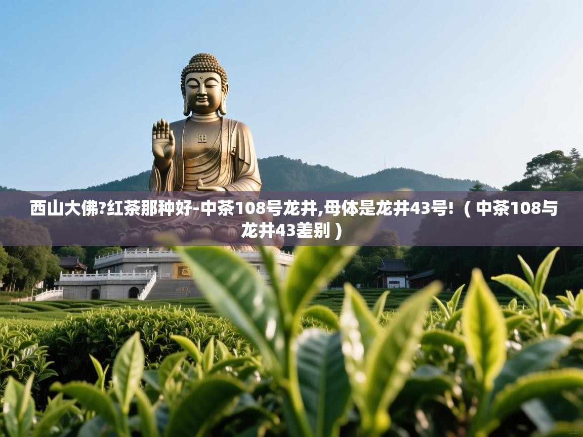  西山大佛?红茶那种好-中茶108号龙井,母体是龙井43号!  ( 中茶108与龙井43差别 )