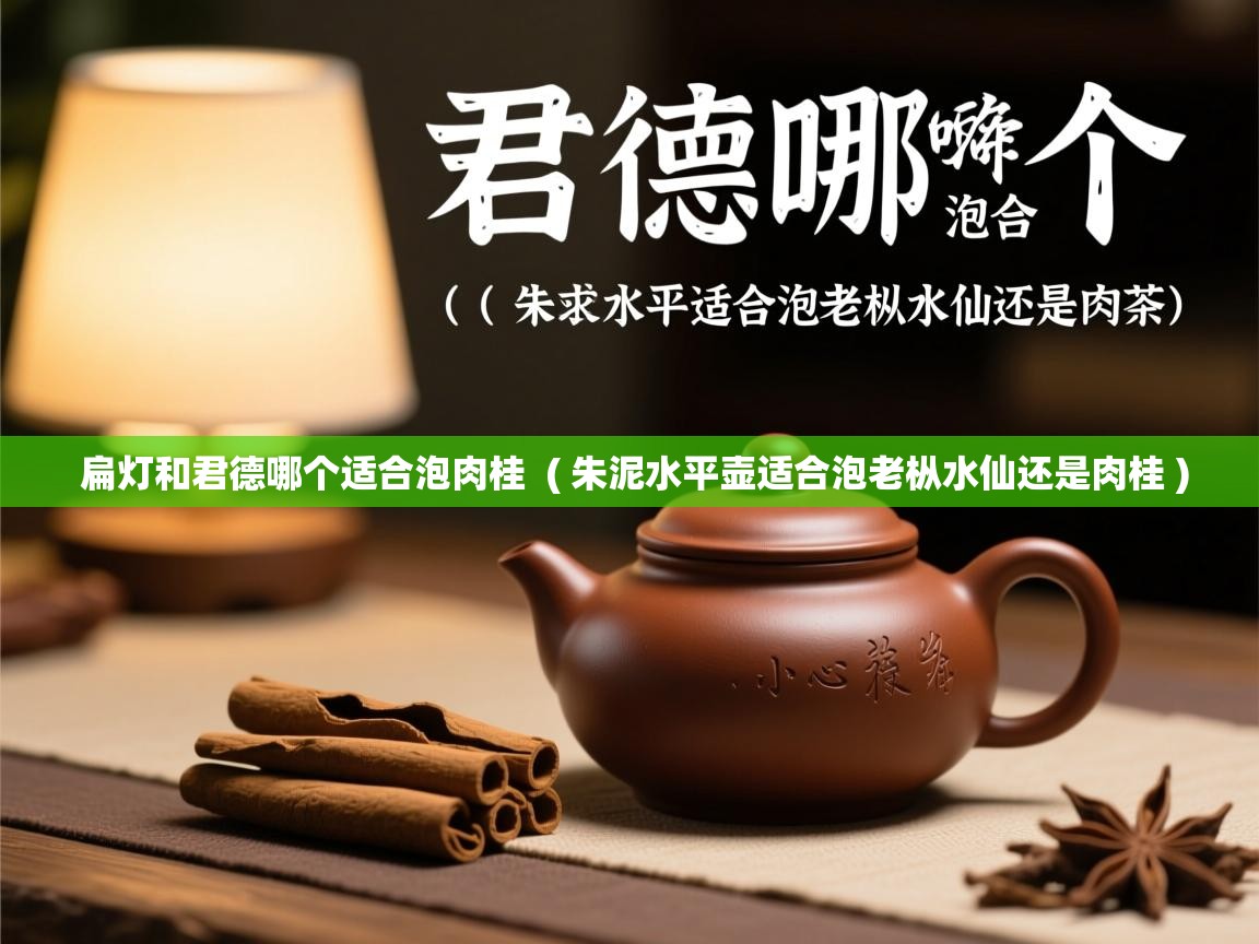  扁灯和君德哪个适合泡肉桂  ( 朱泥水平壶适合泡老枞水仙还是肉桂 )