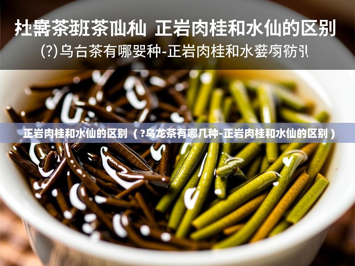 正岩肉桂和水仙的区别  ( ?乌龙茶有哪几种-正岩肉桂和水仙的区别 )