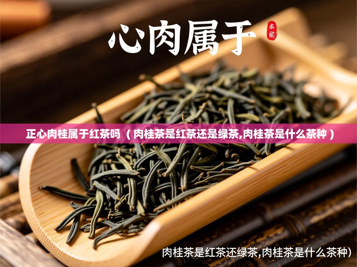 正心肉桂属于红茶吗  ( 肉桂茶是红茶还是绿茶,肉桂茶是什么茶种 )