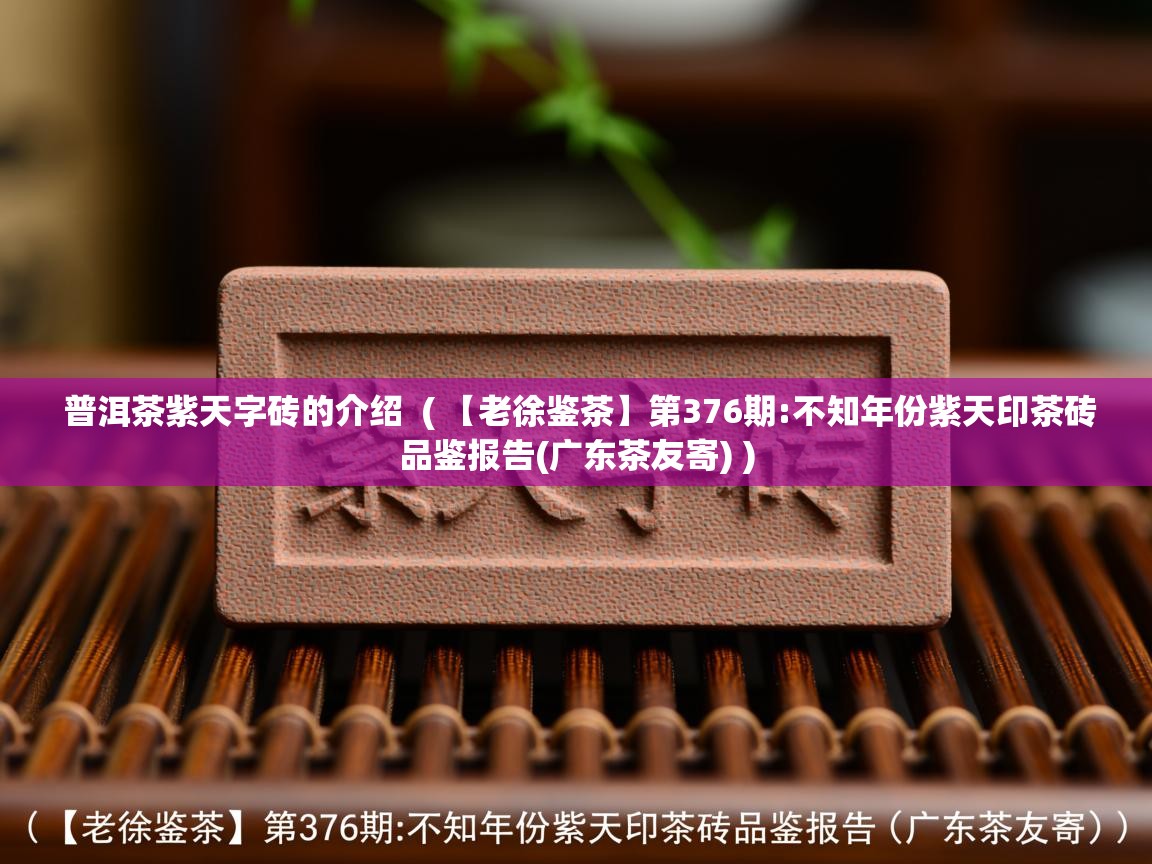  普洱茶紫天字砖的介绍  ( 【老徐鉴茶】第376期:不知年份紫天印茶砖品鉴报告(广东茶友寄) )