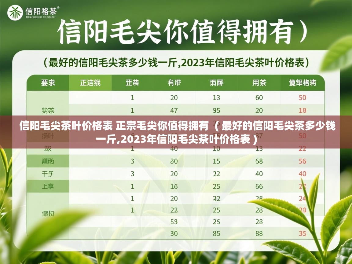  信阳毛尖茶叶价格表 正宗毛尖你值得拥有  ( 最好的信阳毛尖茶多少钱一斤,2023年信阳毛尖茶叶价格表 )