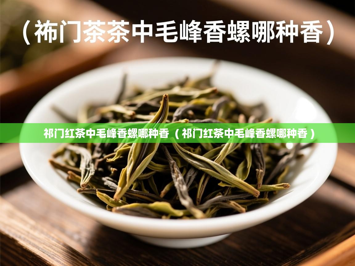  祁门红茶中毛峰香螺哪种香  ( 祁门红茶中毛峰香螺哪种香 )