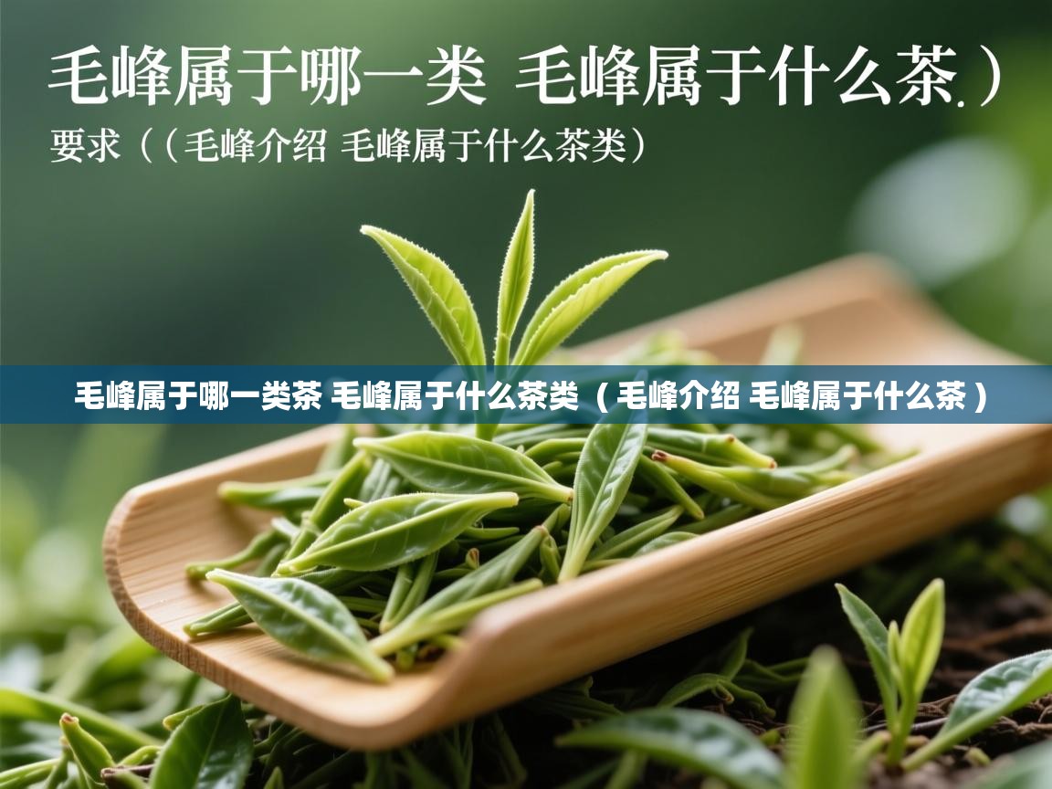  毛峰属于哪一类茶 毛峰属于什么茶类  ( 毛峰介绍 毛峰属于什么茶 )