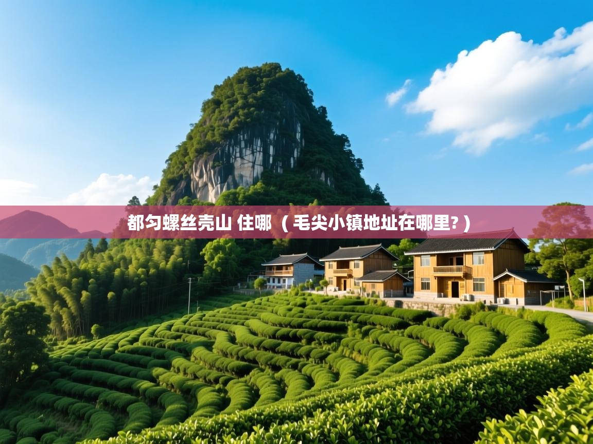  都匀螺丝壳山 住哪  ( 毛尖小镇地址在哪里? )