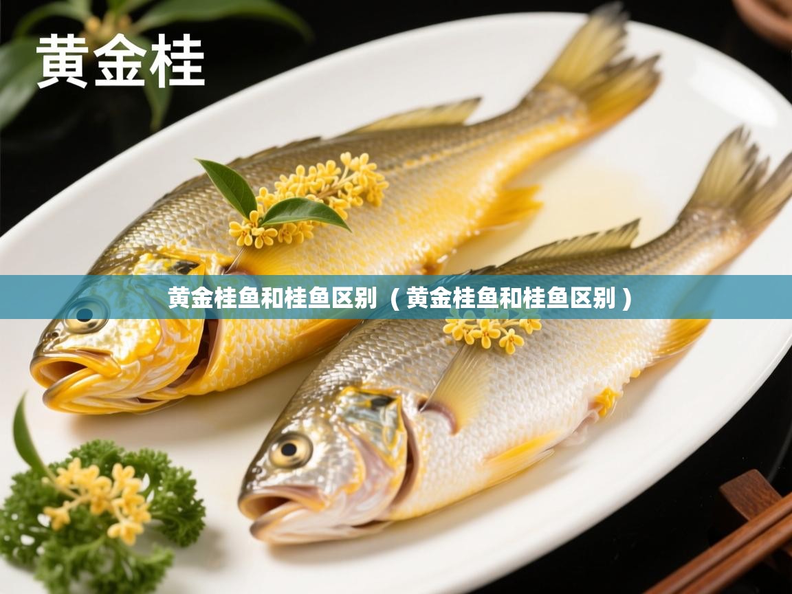  黄金桂鱼和桂鱼区别  ( 黄金桂鱼和桂鱼区别 )