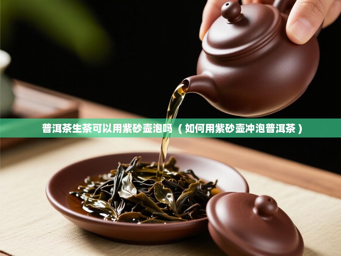  普洱茶生茶可以用紫砂壶泡吗  ( 如何用紫砂壶冲泡普洱茶 )