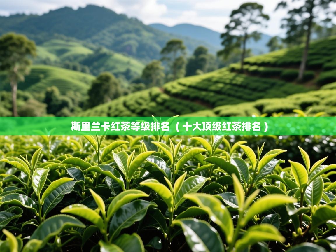  斯里兰卡红茶等级排名  ( 十大顶级红茶排名 )