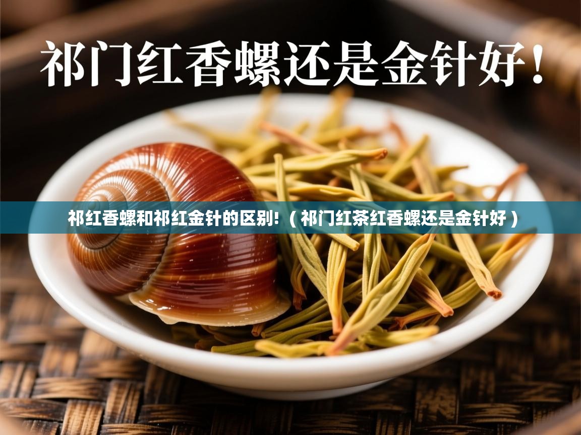 祁红香螺和祁红金针的区别!  ( 祁门红茶红香螺还是金针好 )
