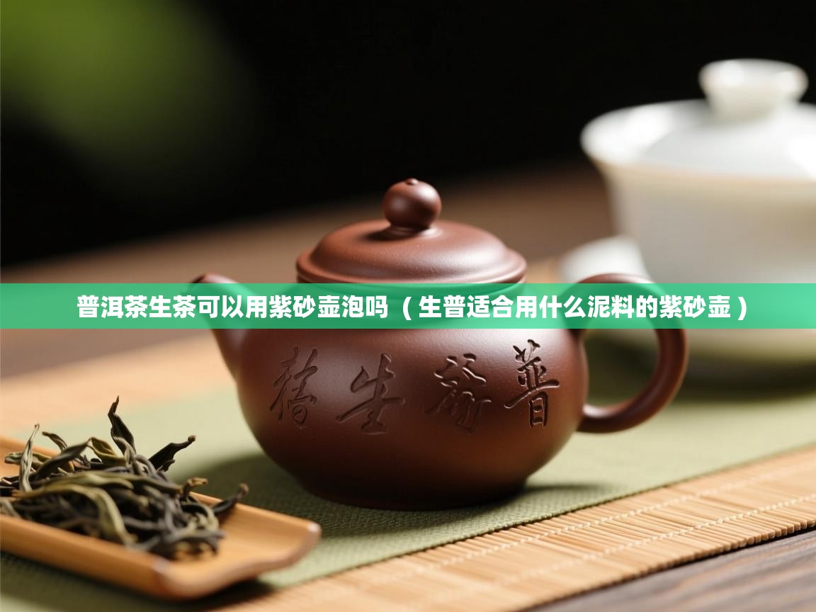  普洱茶生茶可以用紫砂壶泡吗  ( 生普适合用什么泥料的紫砂壶 )