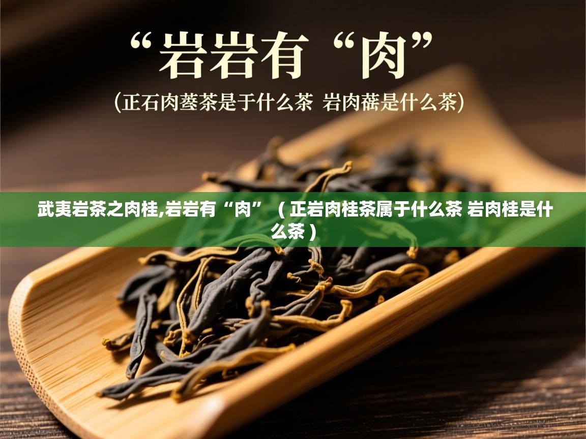  武夷岩茶之肉桂,岩岩有“肉”  ( 正岩肉桂茶属于什么茶 岩肉桂是什么茶 )