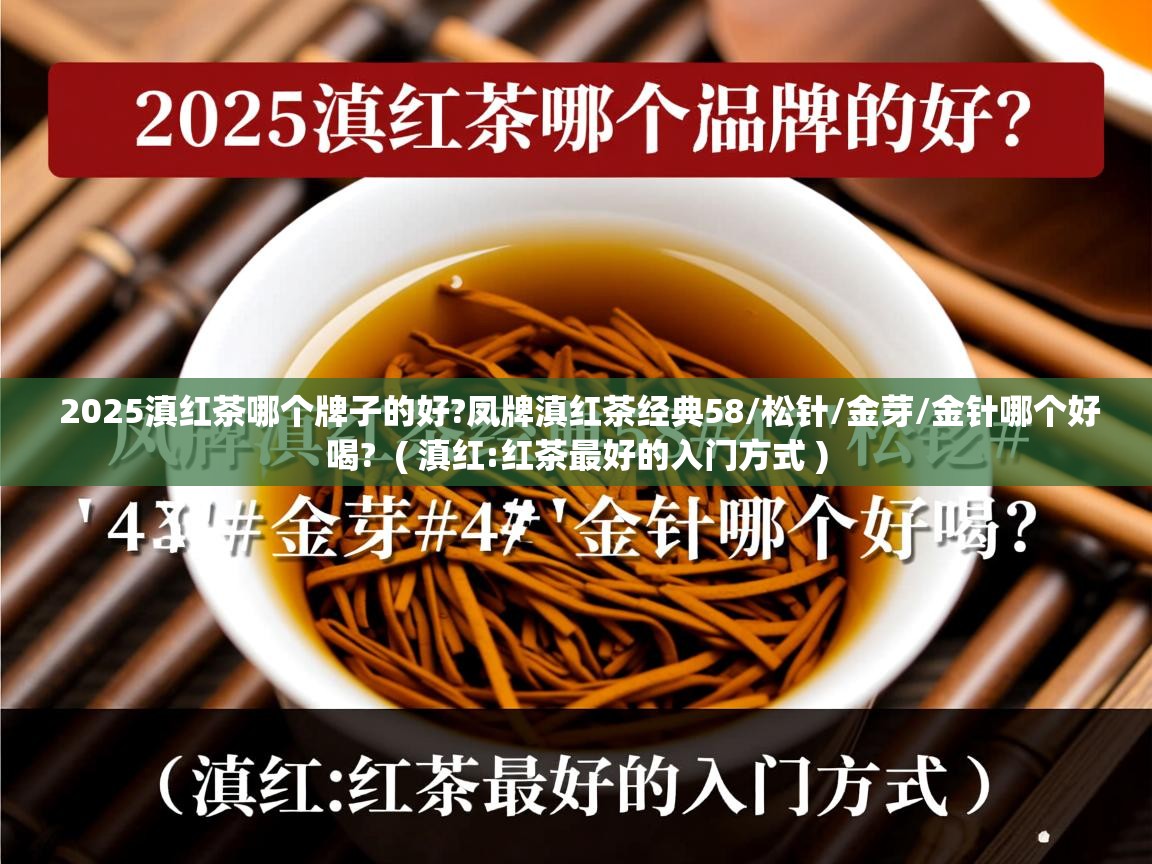 2025滇红茶哪个牌子的好?凤牌滇红茶经典58/松针/金芽/金针哪个好喝?  ( 滇红:红茶最好的入门方式 )  2025滇红茶哪个牌子的好?凤牌滇红茶经典58/松针/金芽/金针哪个好喝?  ( 滇红:红茶最好的入门方式 )