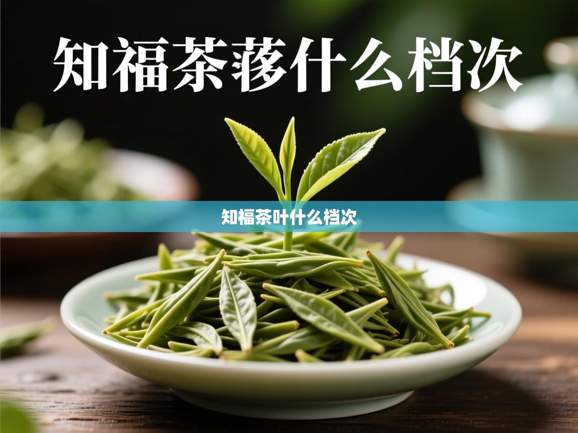 知福茶叶什么档次 