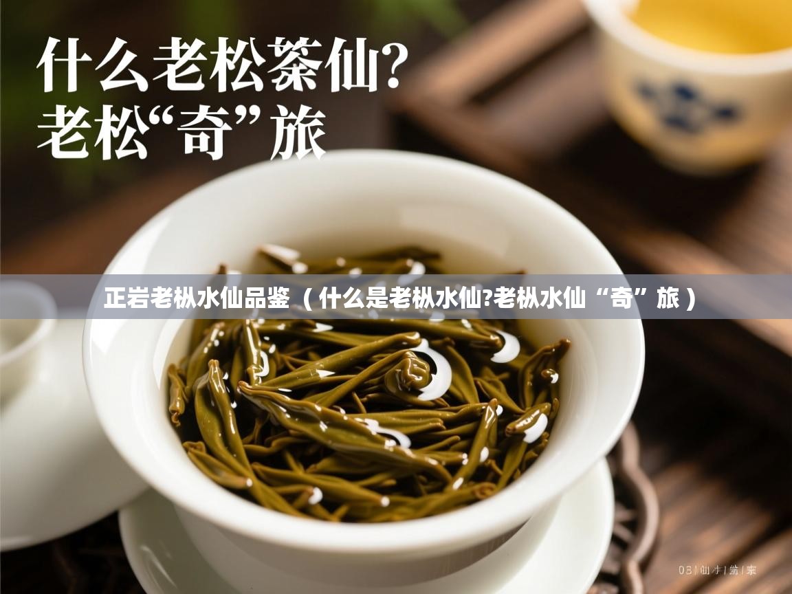  正岩老枞水仙品鉴  ( 什么是老枞水仙?老枞水仙“奇”旅 )