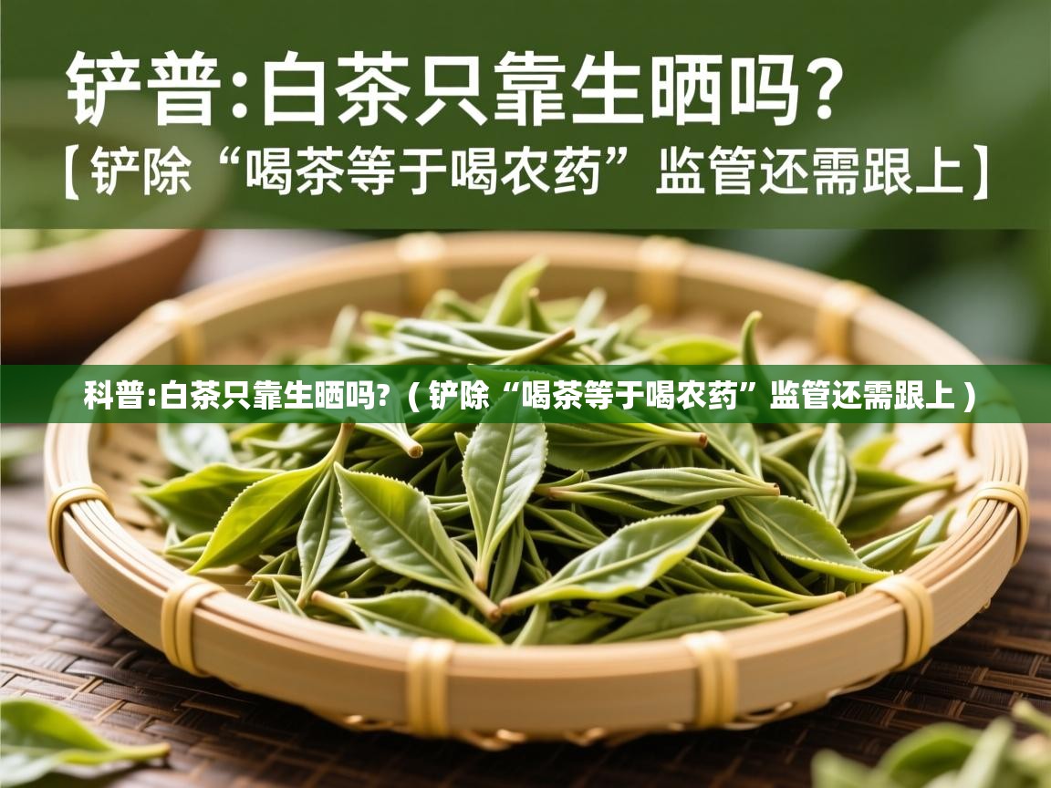  科普:白茶只靠生晒吗?  ( 铲除“喝茶等于喝农药”监管还需跟上 )