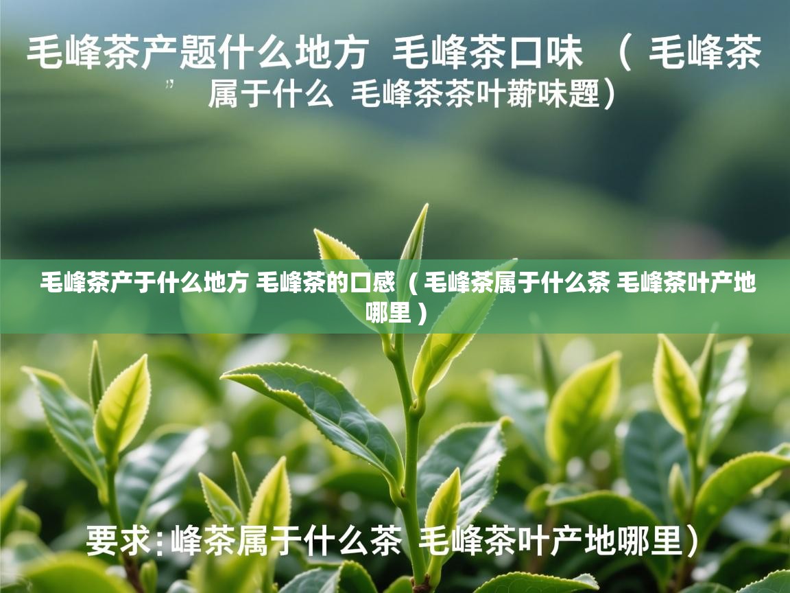  毛峰茶产于什么地方 毛峰茶的口感  ( 毛峰茶属于什么茶 毛峰茶叶产地哪里 )