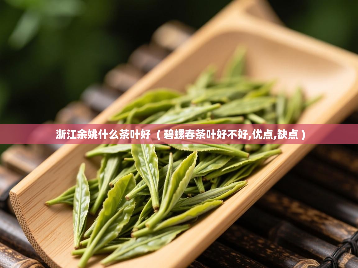  浙江余姚什么茶叶好  ( 碧螺春茶叶好不好,优点,缺点 )