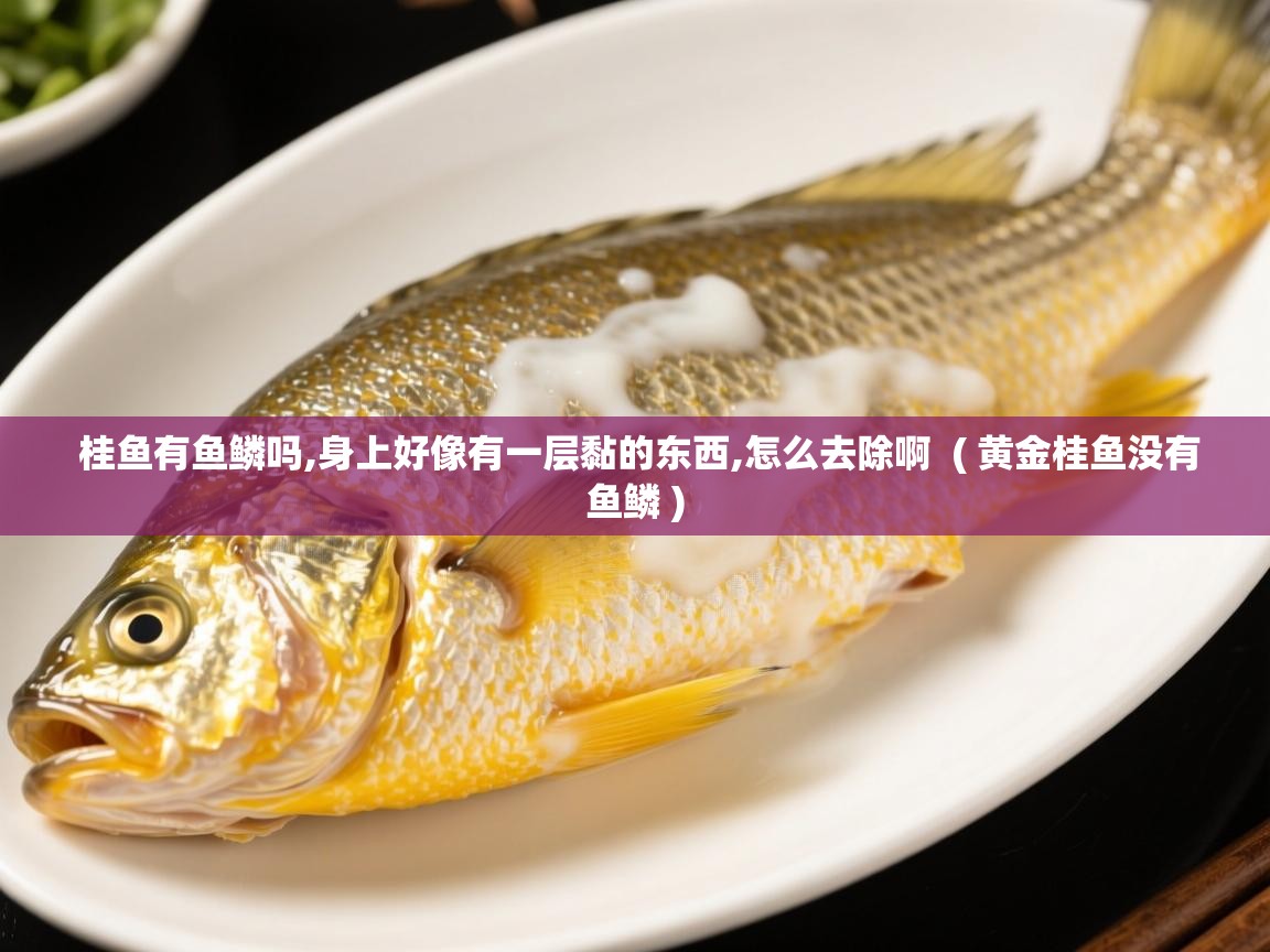  桂鱼有鱼鳞吗,身上好像有一层黏的东西,怎么去除啊  ( 黄金桂鱼没有鱼鳞 )