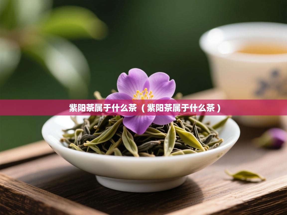  紫阳茶属于什么茶  ( 紫阳茶属于什么茶 )