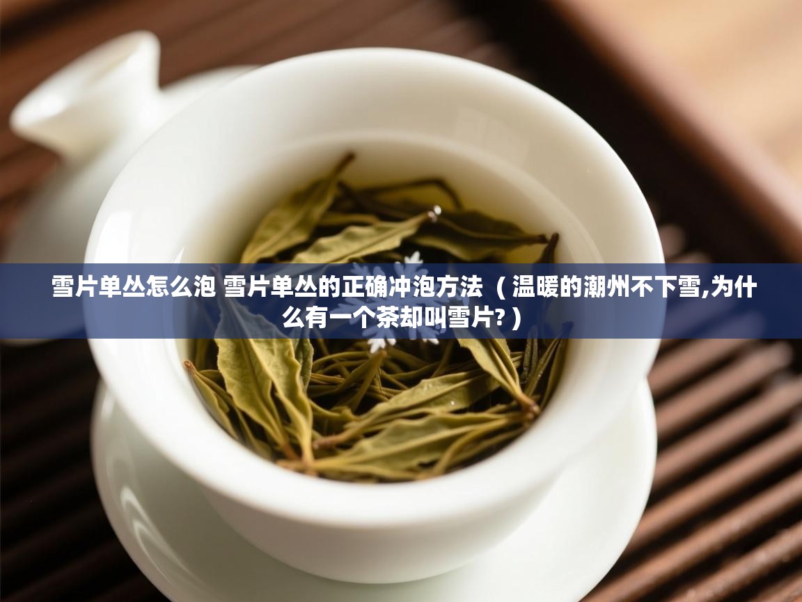 雪片单丛怎么泡 雪片单丛的正确冲泡方法  ( 温暖的潮州不下雪,为什么有一个茶却叫雪片? )