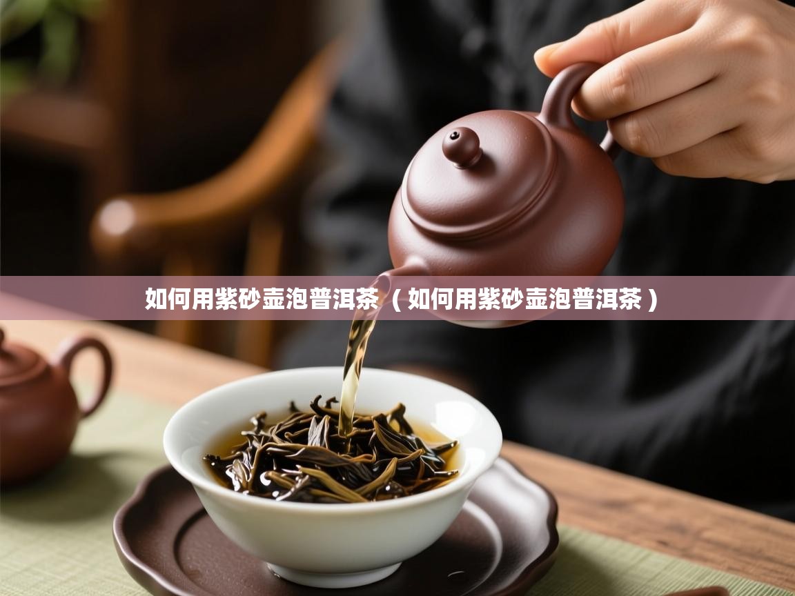  如何用紫砂壶泡普洱茶  ( 如何用紫砂壶泡普洱茶 )