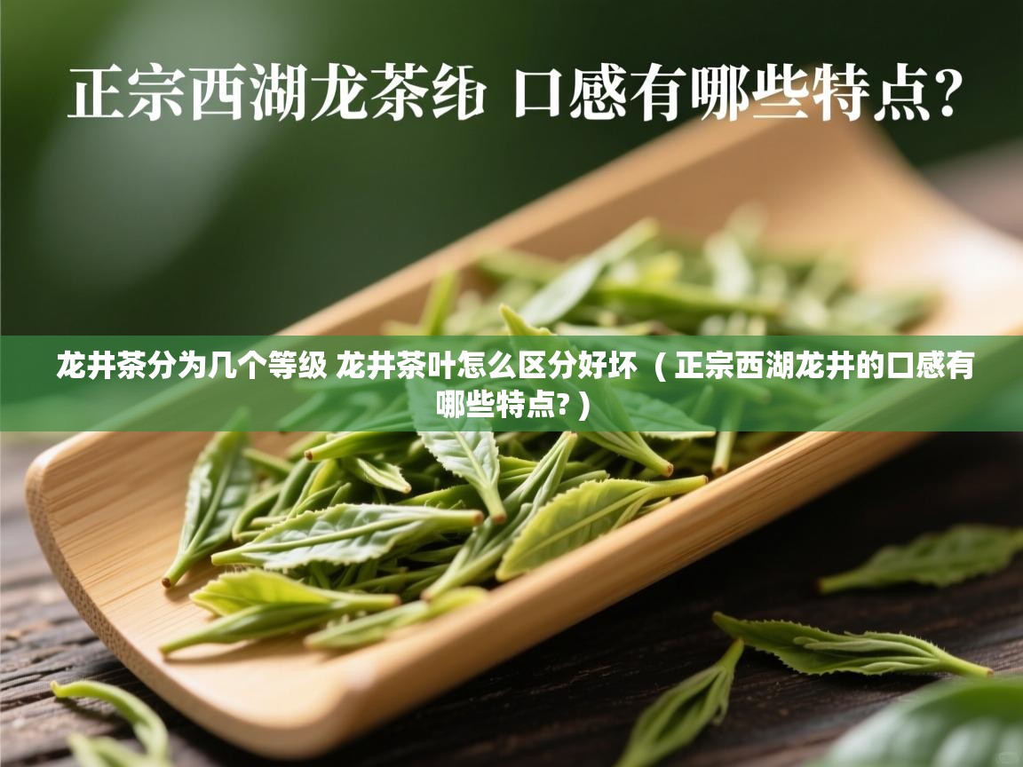  龙井茶分为几个等级 龙井茶叶怎么区分好坏  ( 正宗西湖龙井的口感有哪些特点? )