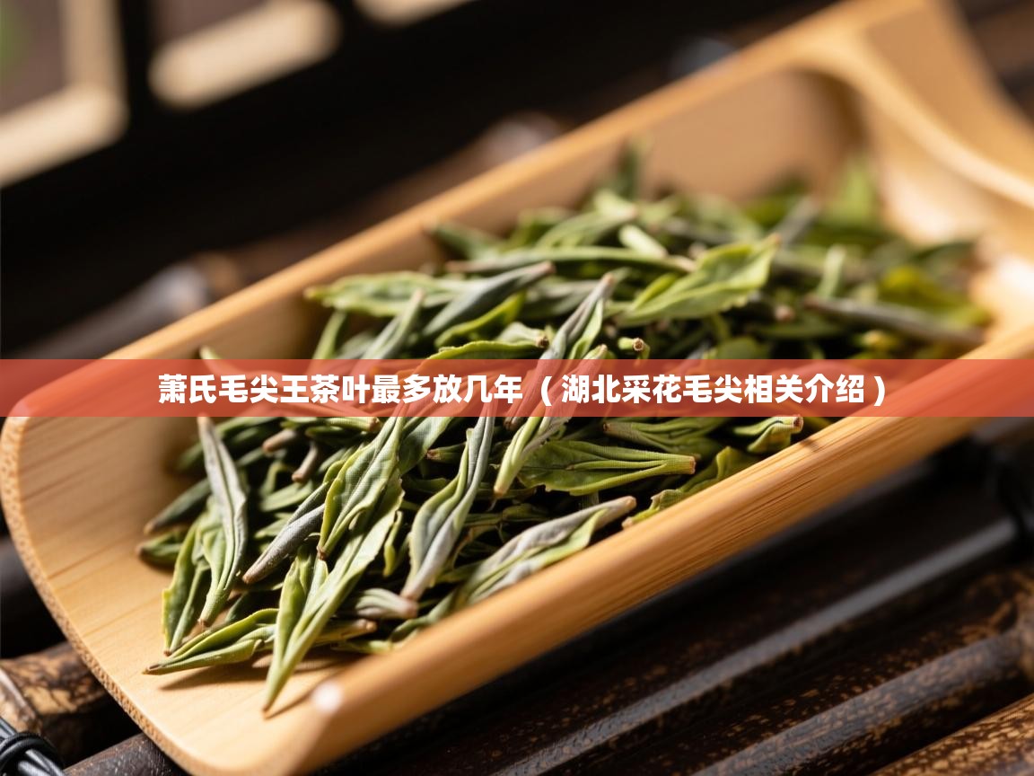  萧氏毛尖王茶叶最多放几年  ( 湖北采花毛尖相关介绍 )