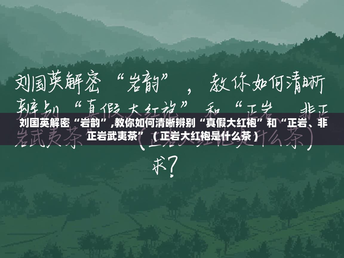  刘国英解密“岩韵”,教你如何清晰辨别“真假大红袍”和“正岩、非正岩武夷茶”  ( 正岩大红袍是什么茶 )