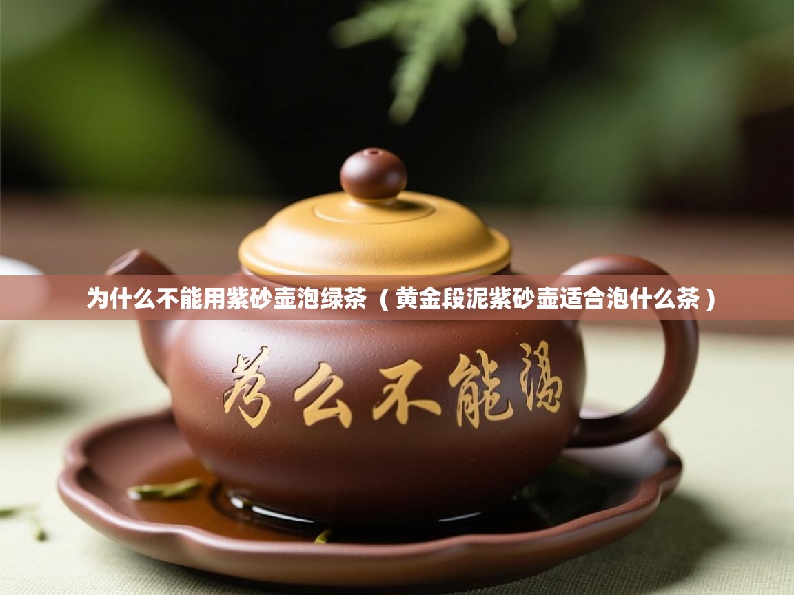  为什么不能用紫砂壶泡绿茶  ( 黄金段泥紫砂壶适合泡什么茶 )