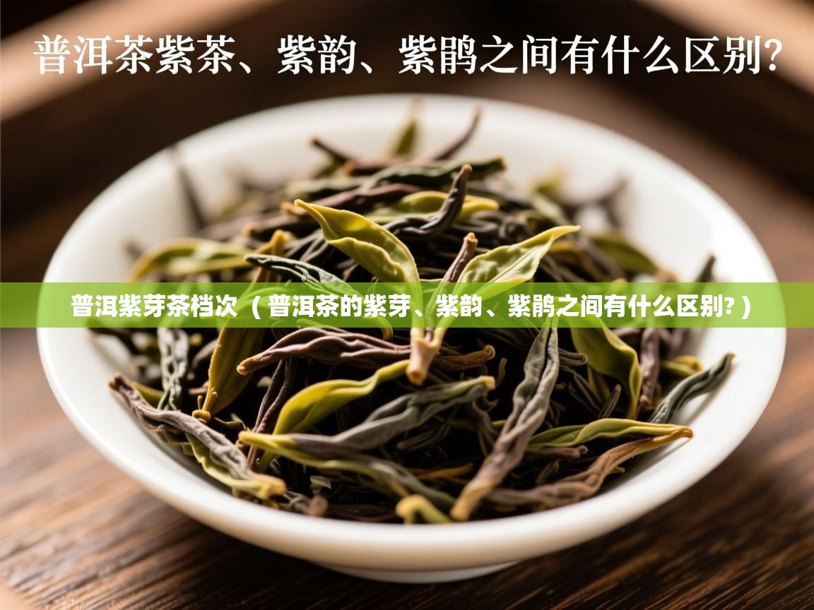  普洱紫芽茶档次  ( 普洱茶的紫芽、紫韵、紫鹃之间有什么区别? )