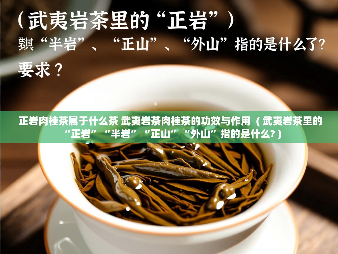  正岩肉桂茶属于什么茶 武夷岩茶肉桂茶的功效与作用  ( 武夷岩茶里的“正岩”“半岩”“正山”“外山”指的是什么? )