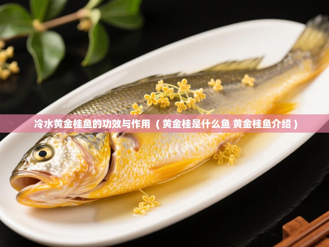  冷水黄金桂鱼的功效与作用  ( 黄金桂是什么鱼 黄金桂鱼介绍 )