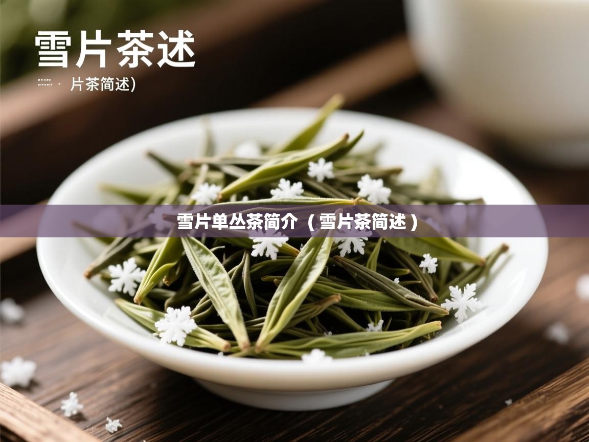 雪片单丛茶简介  ( 雪片茶简述 )