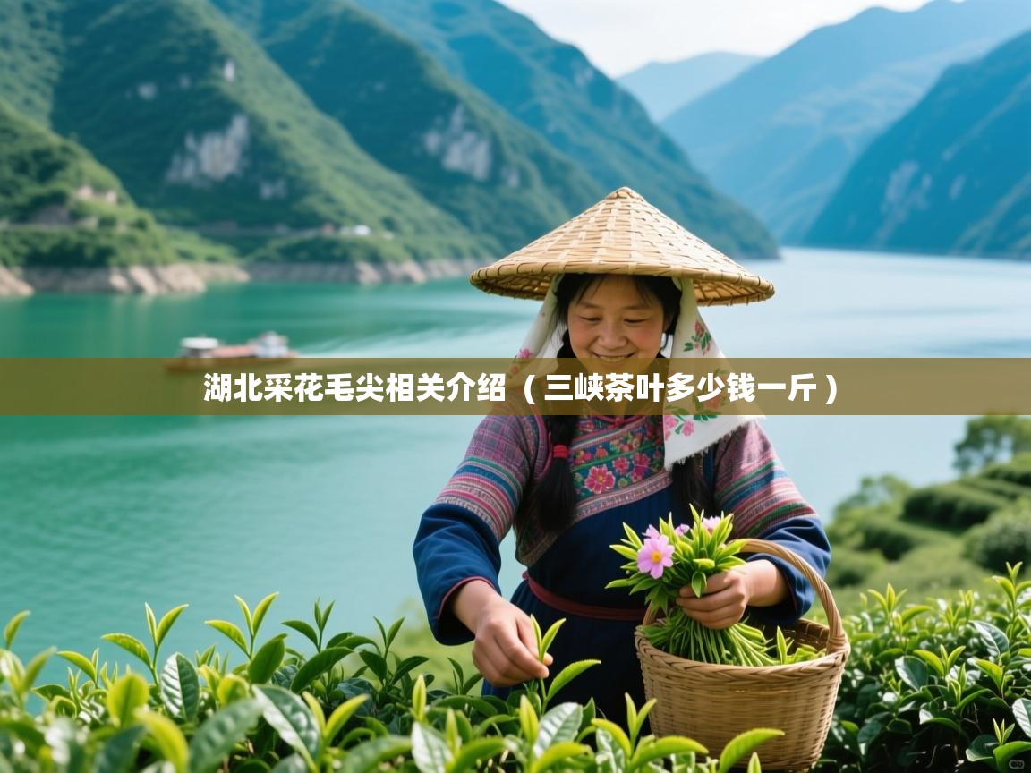  湖北采花毛尖相关介绍  ( 三峡茶叶多少钱一斤 )