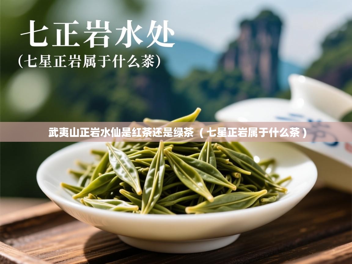  武夷山正岩水仙是红茶还是绿茶  ( 七星正岩属于什么茶 )