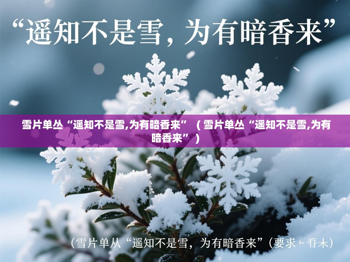  雪片单丛“遥知不是雪,为有暗香来”  ( 雪片单丛“遥知不是雪,为有暗香来” )