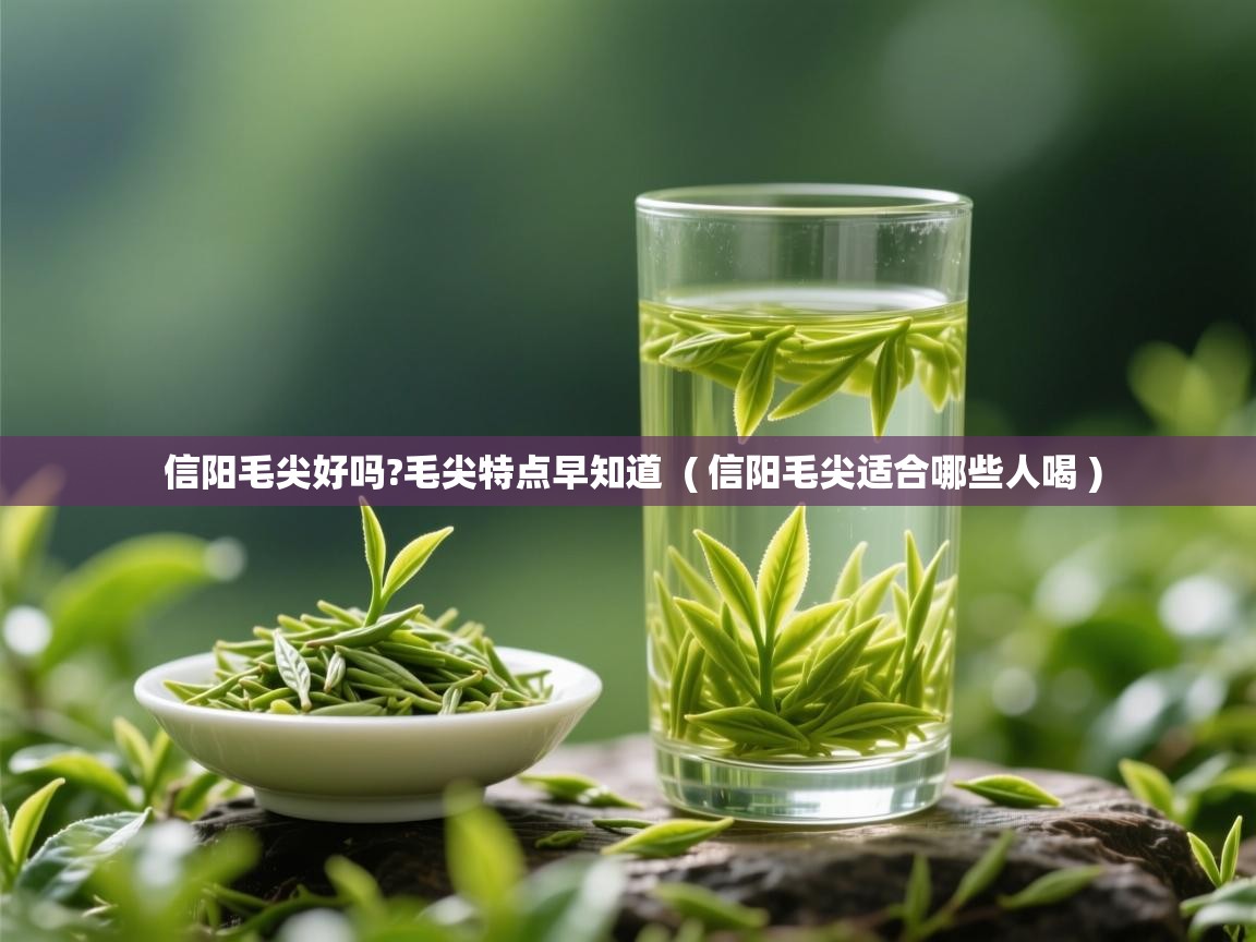  信阳毛尖好吗?毛尖特点早知道  ( 信阳毛尖适合哪些人喝 )