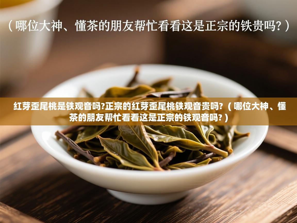  红芽歪尾桃是铁观音吗?正宗的红芽歪尾桃铁观音贵吗?  ( 哪位大神、懂茶的朋友帮忙看看这是正宗的铁观音吗? )