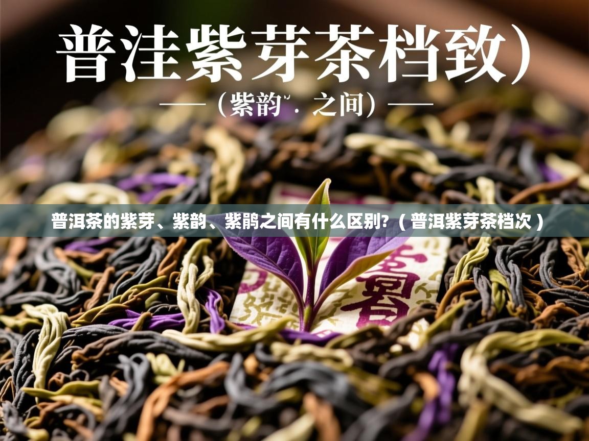  普洱茶的紫芽、紫韵、紫鹃之间有什么区别?  ( 普洱紫芽茶档次 )