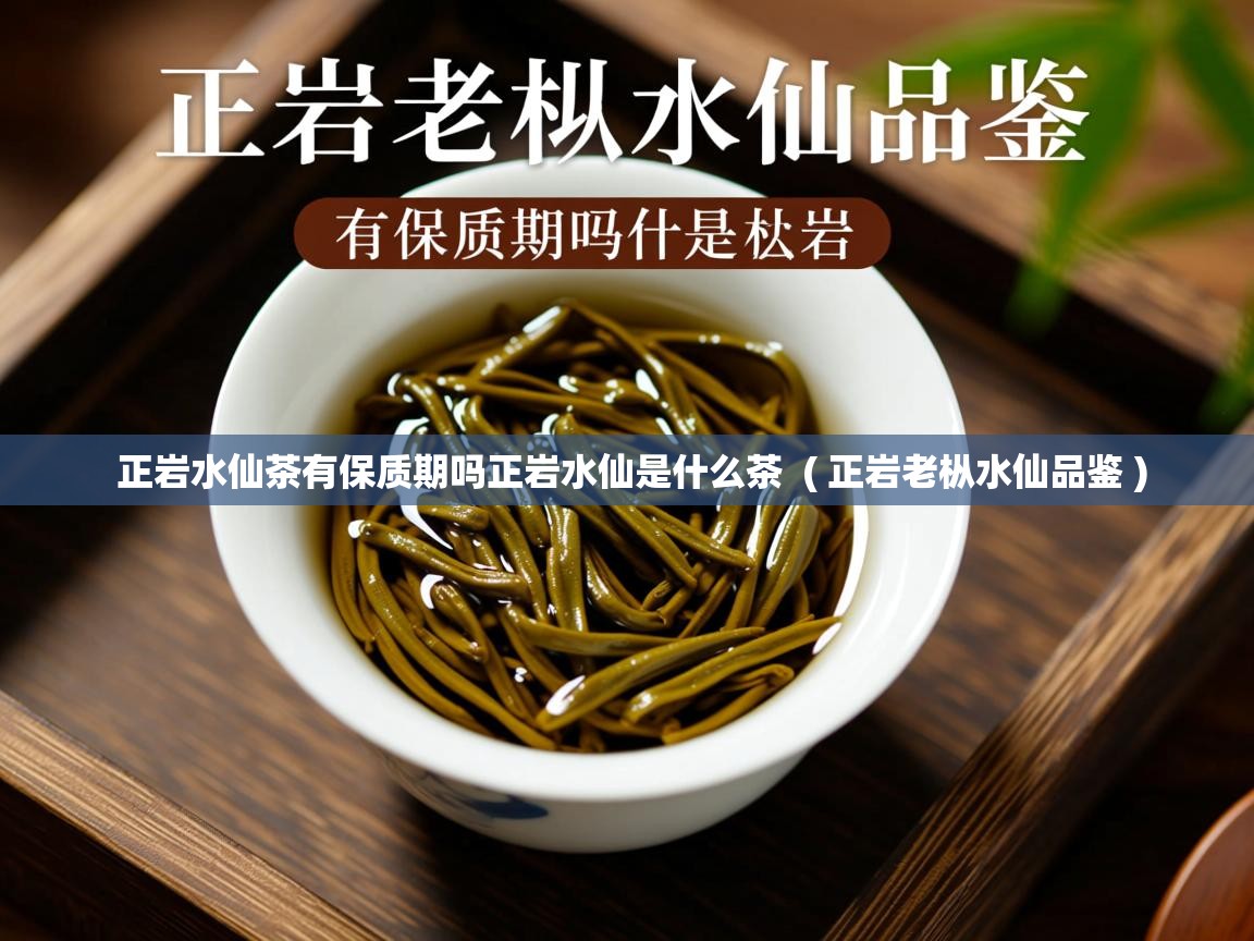  正岩水仙茶有保质期吗正岩水仙是什么茶  ( 正岩老枞水仙品鉴 )