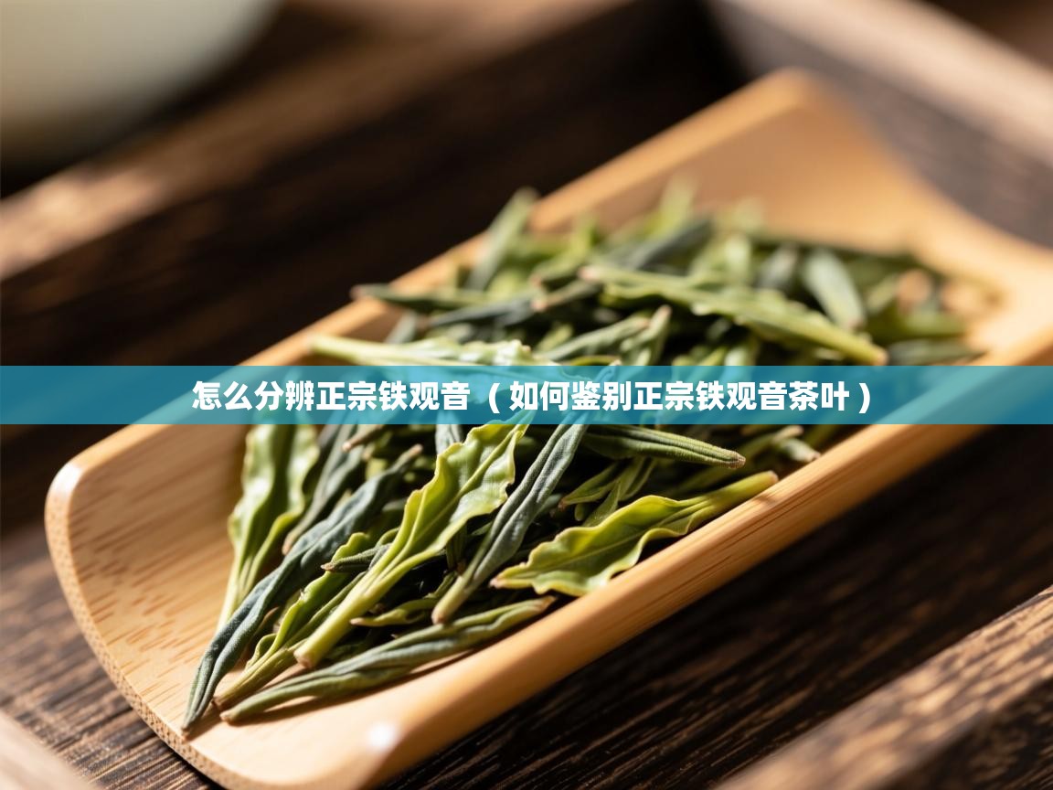  怎么分辨正宗铁观音  ( 如何鉴别正宗铁观音茶叶 )
