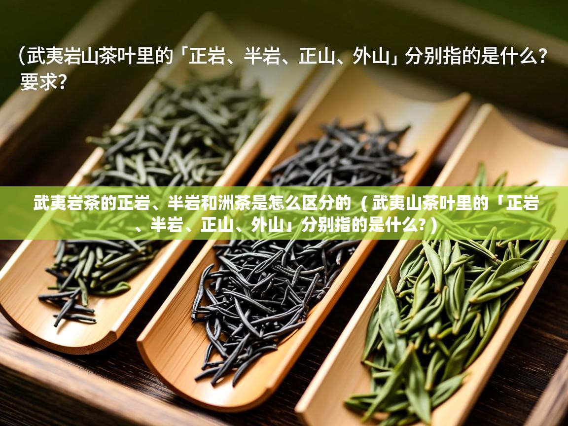 武夷岩茶的正岩、半岩和洲茶是怎么区分的  ( 武夷山茶叶里的「正岩、半岩、正山、外山」分别指的是什么? )  武夷岩茶的正岩、半岩和洲茶是怎么区分的  ( 武夷山茶叶里的「正岩、半岩、正山、外山」分别指的是什么? )